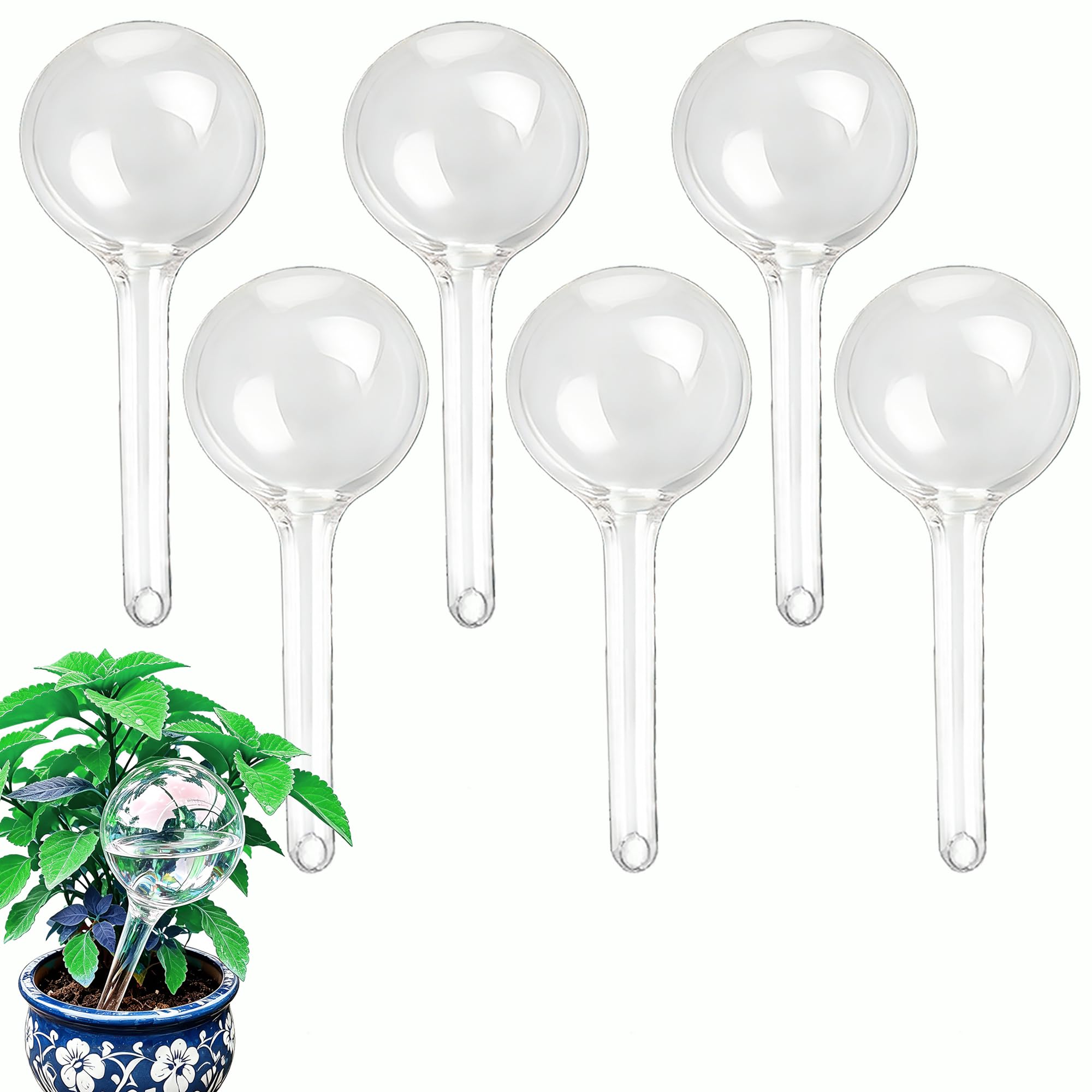 Globes d'arrosage automatique pour plantes de jardin et fleurs d'intérieur