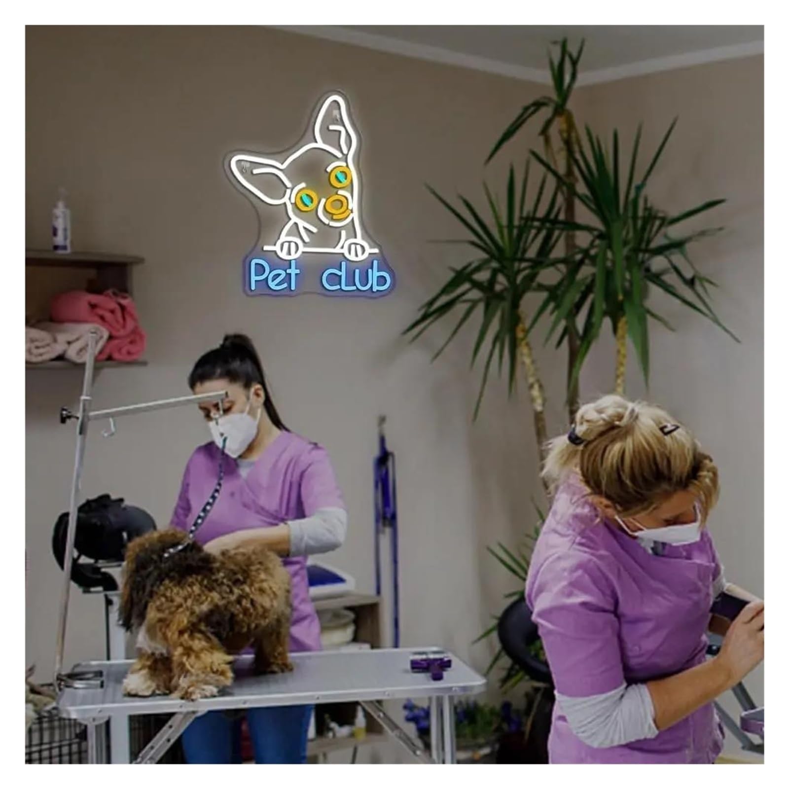 Pet Club per insegna per neon Light per alimentazione per neon