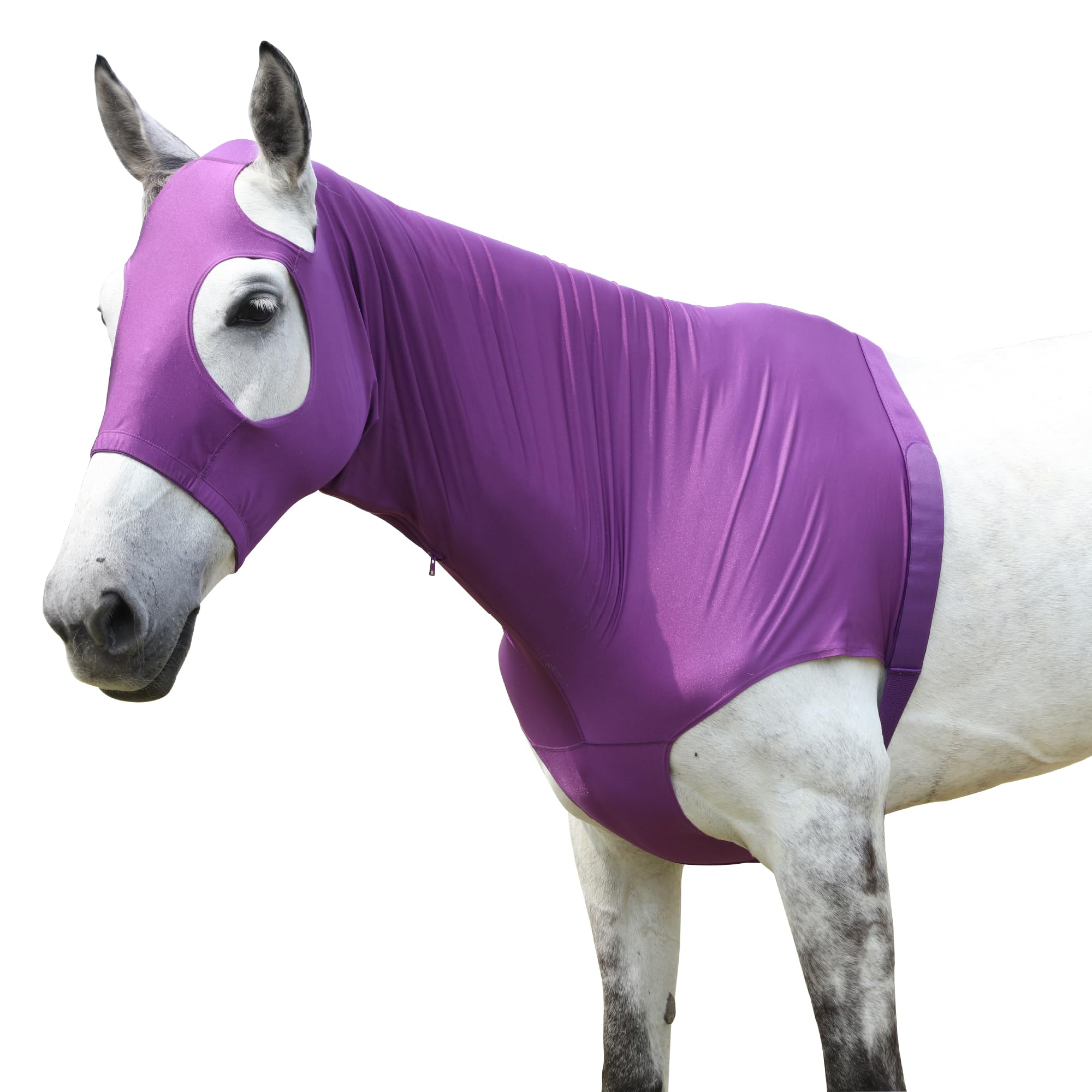Horse Stretch Hood with Zipper, Full Face & Neck Cover for Sweet Itch Protection – Mane Braid Shoulder Guard & Fly Shield Purple Medium