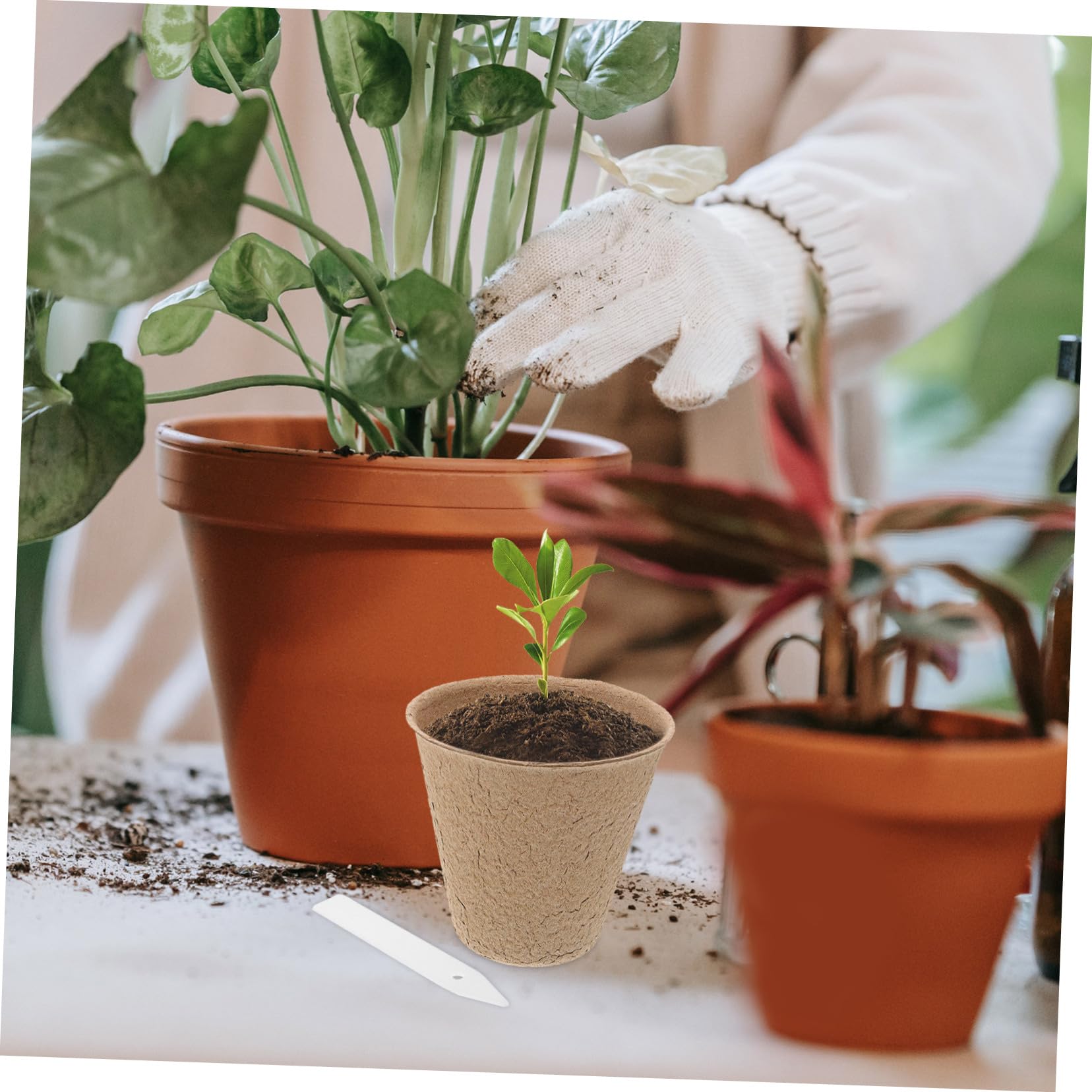 Vasi da Vivaio in Polpa di Torba Biodegradabili 110 Pezzi Etichette per Germinazione e Trapianto, Kit per Giardinaggio Domestico e Coltivazione in Vaso Ecologico