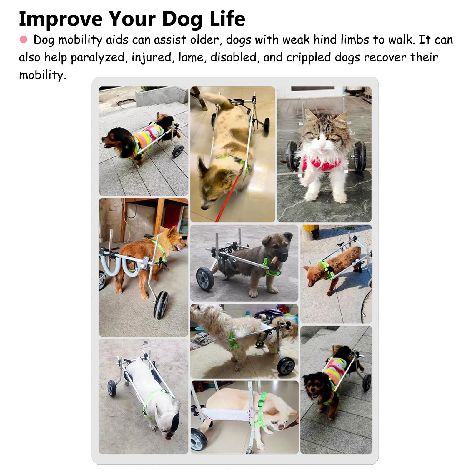 View 3