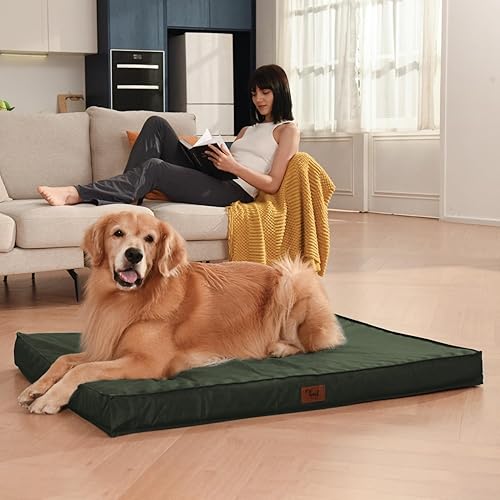 Miniatura 5 de Tail Stories Cama para perros para todo tipo de clima, cama impermeable para perros grandes, cama ortopédica de espuma de huevo indestructible para
