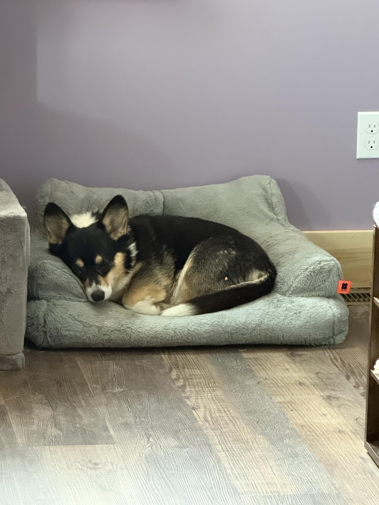 MEWOOFUN Cat Bed for Indoor Cats, Washable Dog Beds for Small Dogs & Cats with Removable Cover, Fluffy Cat Couch with Non-Slip Bottom (Grey, 26.0" L X 19.0" W X 13.0" Th) photo review