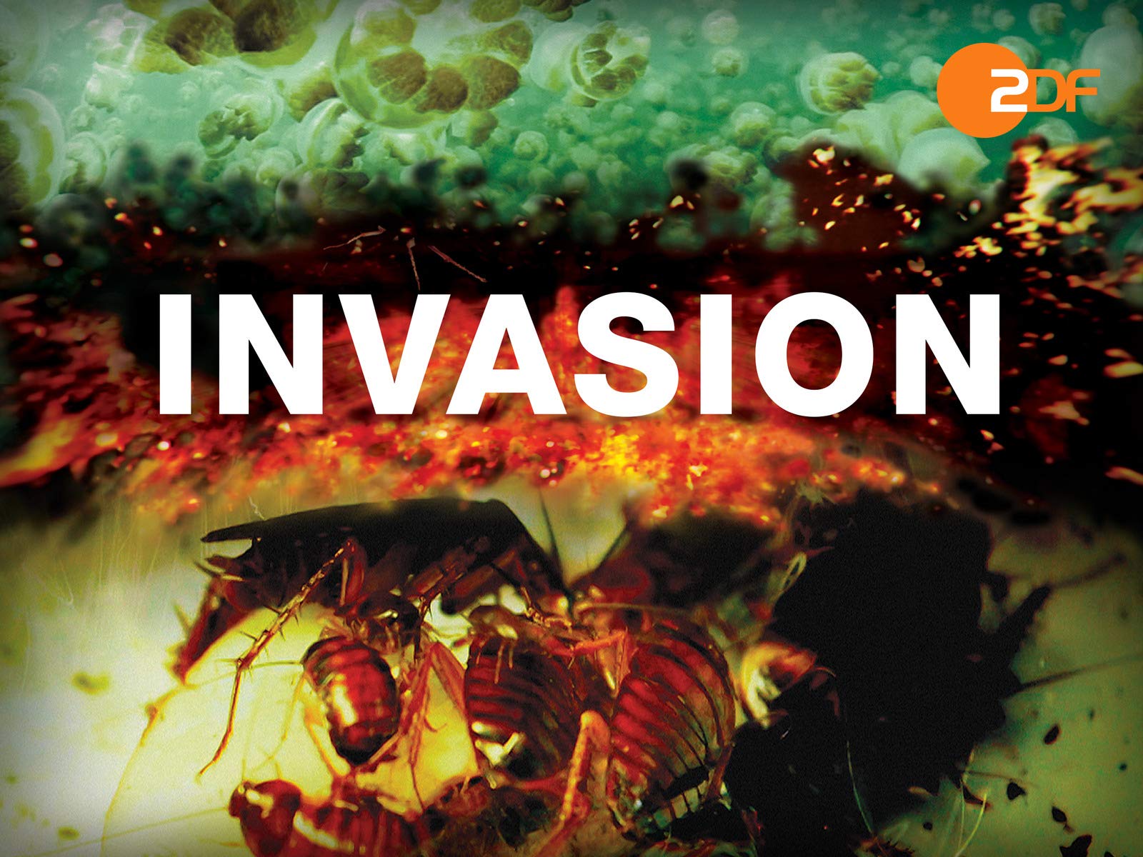 Amazon.de Invasion Staffel 1 ansehen Prime Video