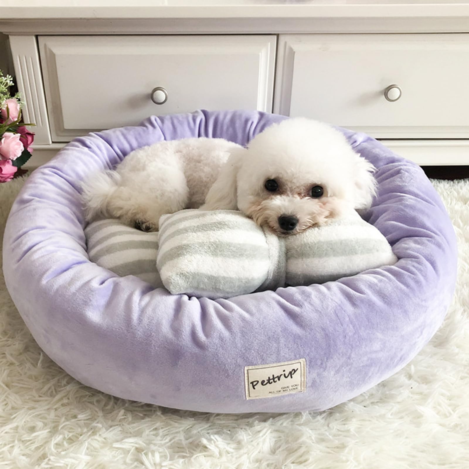 PETCUTE Hundebett Katzenbett Waschbar Hundesofa Rund Kissen Bett Wildlederimitat Haustierbett für Grosse Mittlere kleine Hunde Katzen(M-55 * 15 cm Lila)