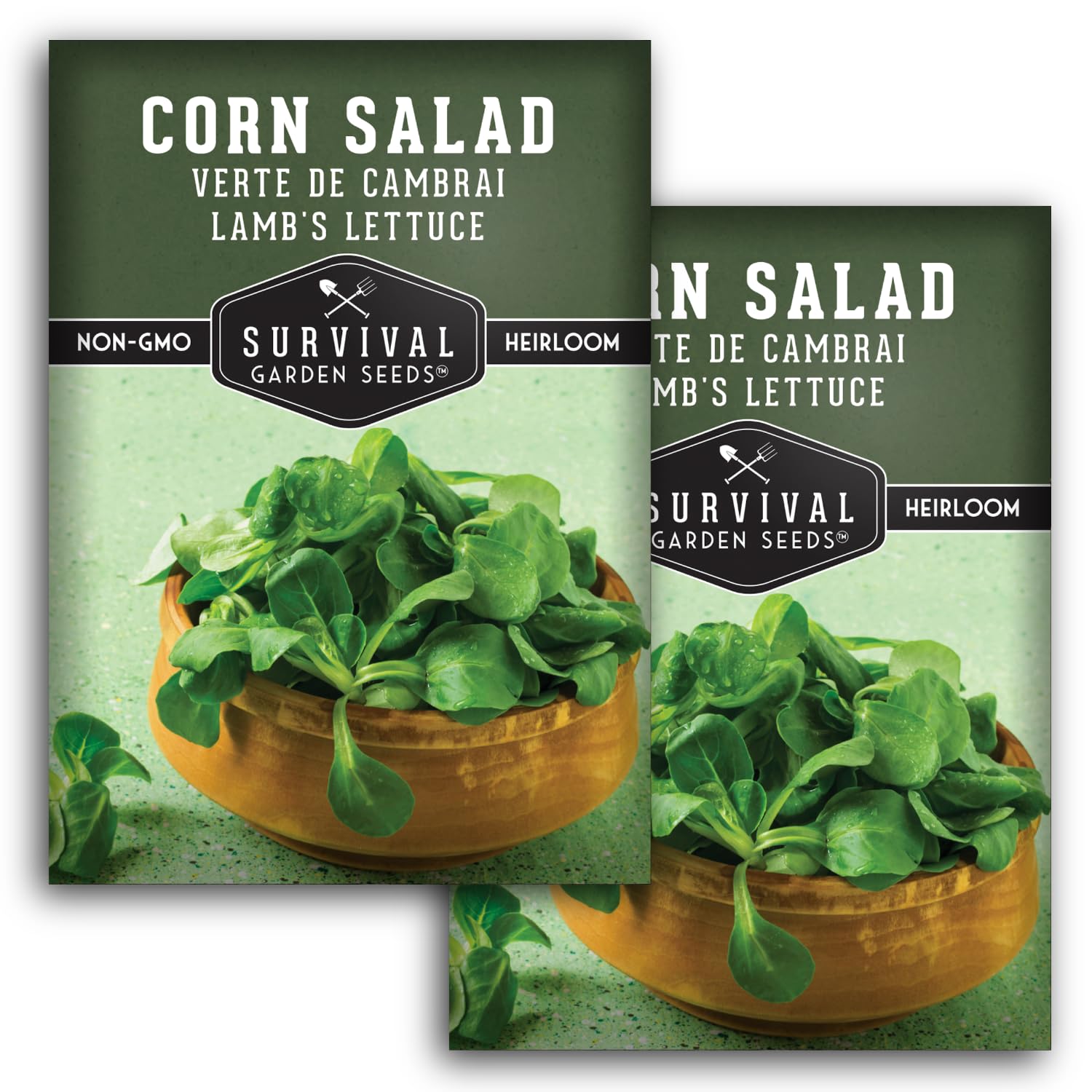 Survival Garden Seeds Corn Salad Verte de Cambrai Seeds for Planting - 2 Packets with Instructions to Plant and Grow Lamb's Lettuce or Mache in Your