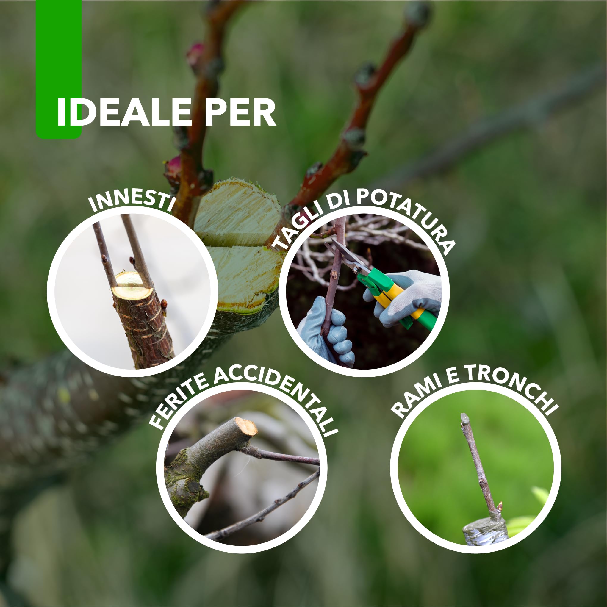 Masilla para injertos y podas - Con cobre - Pasta cicatrizante antibacteriana curativa para heridas de plantas, árboles y arbustos de 1 Kg