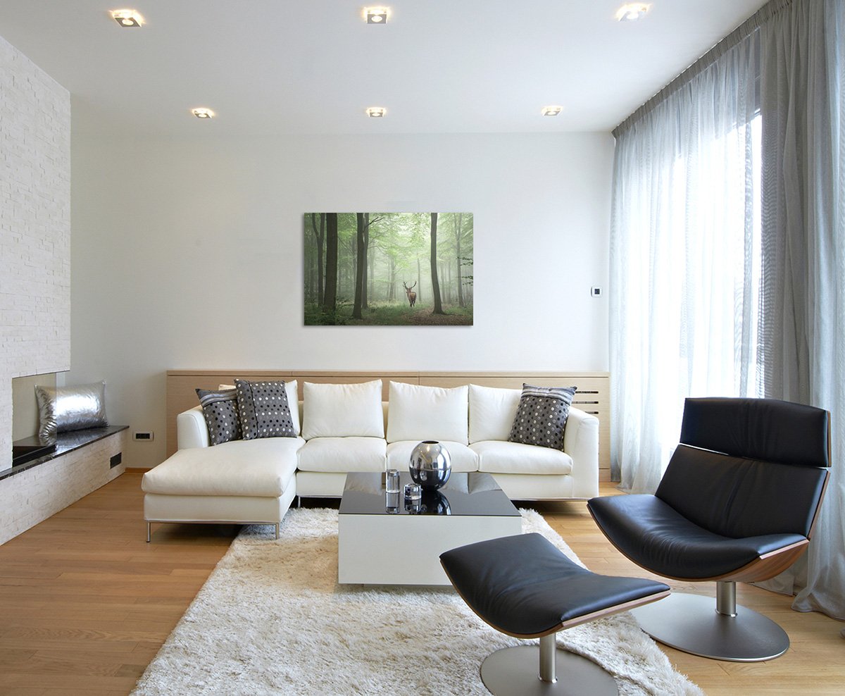 Sinus Art Wandbild 60x40cm - Majestätischer Hirsch Im Nebel Für Naturverbundene Räume