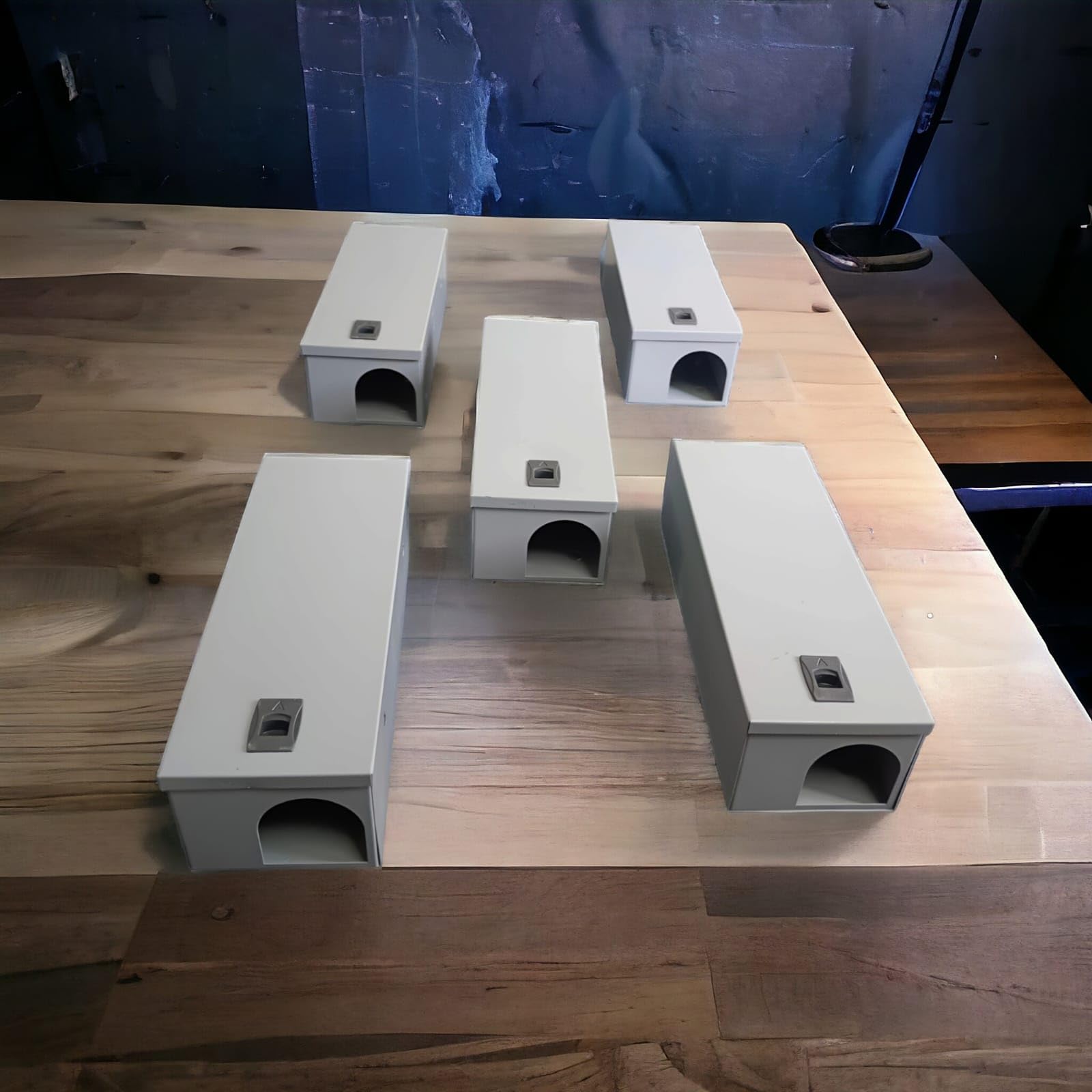 Rat Bait Station (5 PCS)-picture-12