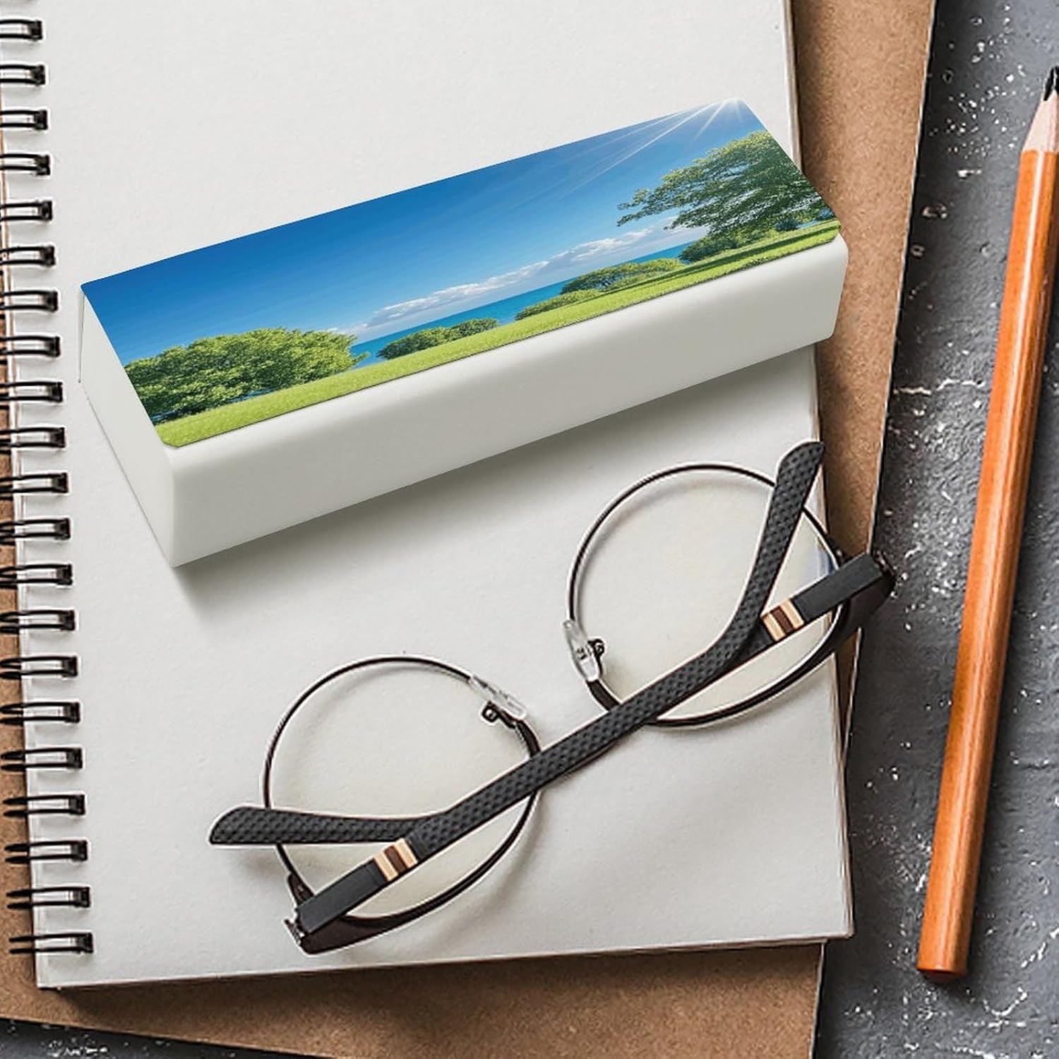 Lawn in The Sun Glasses Cases Travel Sunglasses Case with Magnetic Closure Portable Protective Glasses Cover Hard Shell PU Leather Case for Eyeglasses for Men And Women