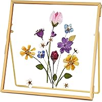 REDHUGO Handmade Double Glass Pressed Flower Frame - Gold Brass Square 4x4 Inch Floating Tabletop Picture Display