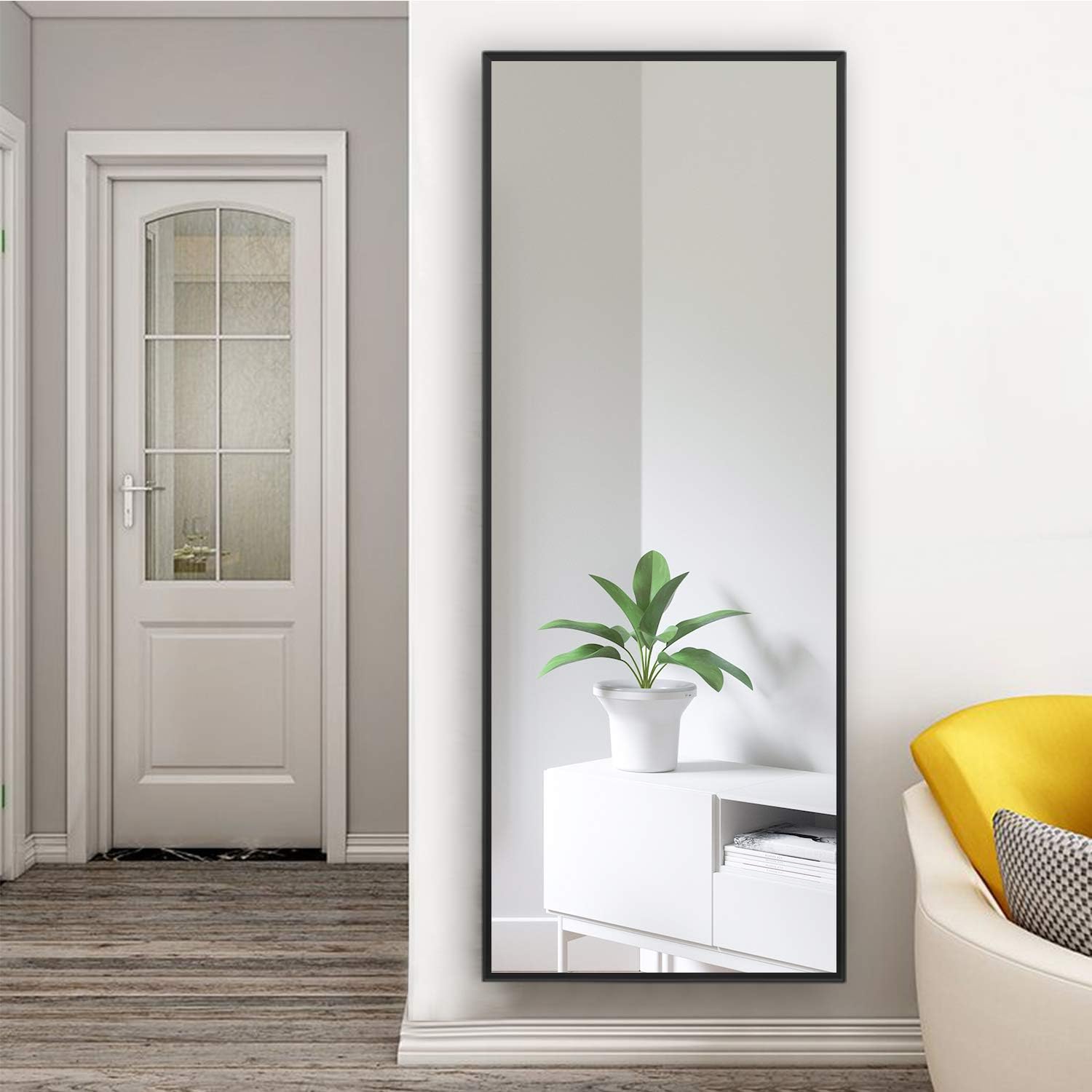 NeuType 59"x20" Full Length Mirror Wall Mirror Full Length