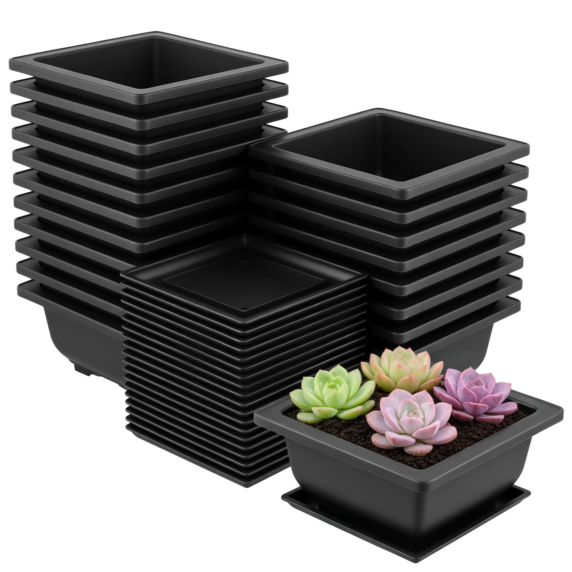 Pots d'entraînement carrés 12 cm en plastique avec plateaux pour bonsaï