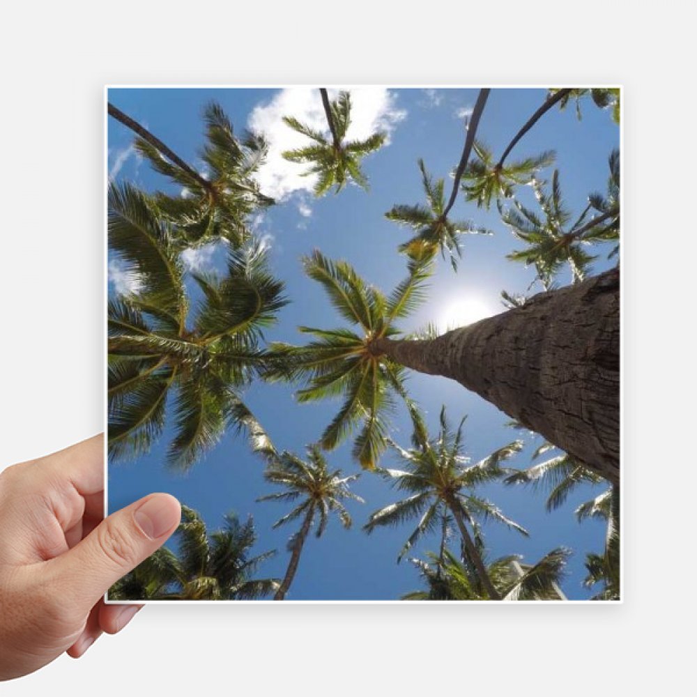 Sticker bleu ciel arbres et soleil de 20cm pour personnaliser votre valise et moto