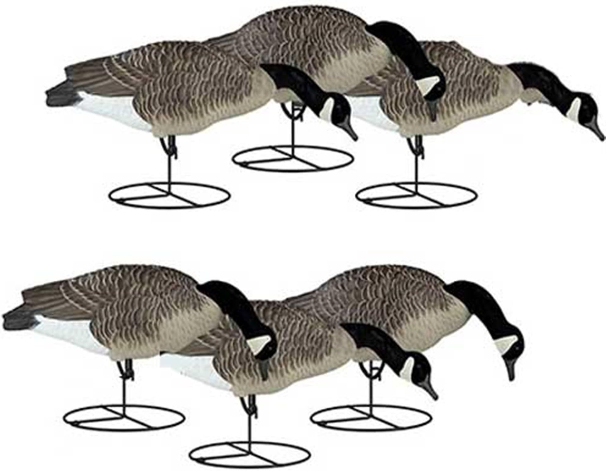 Dakota Decoy 1 Piece Canada Full Body Feeder - 6 Pack