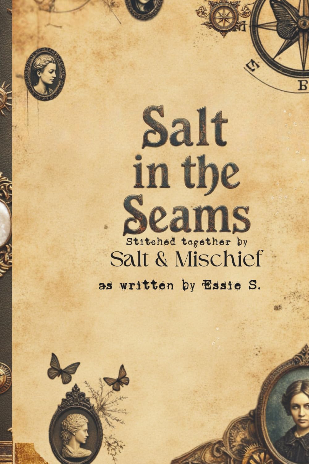 Salt in The Seams      Paperback – January 23, 2026