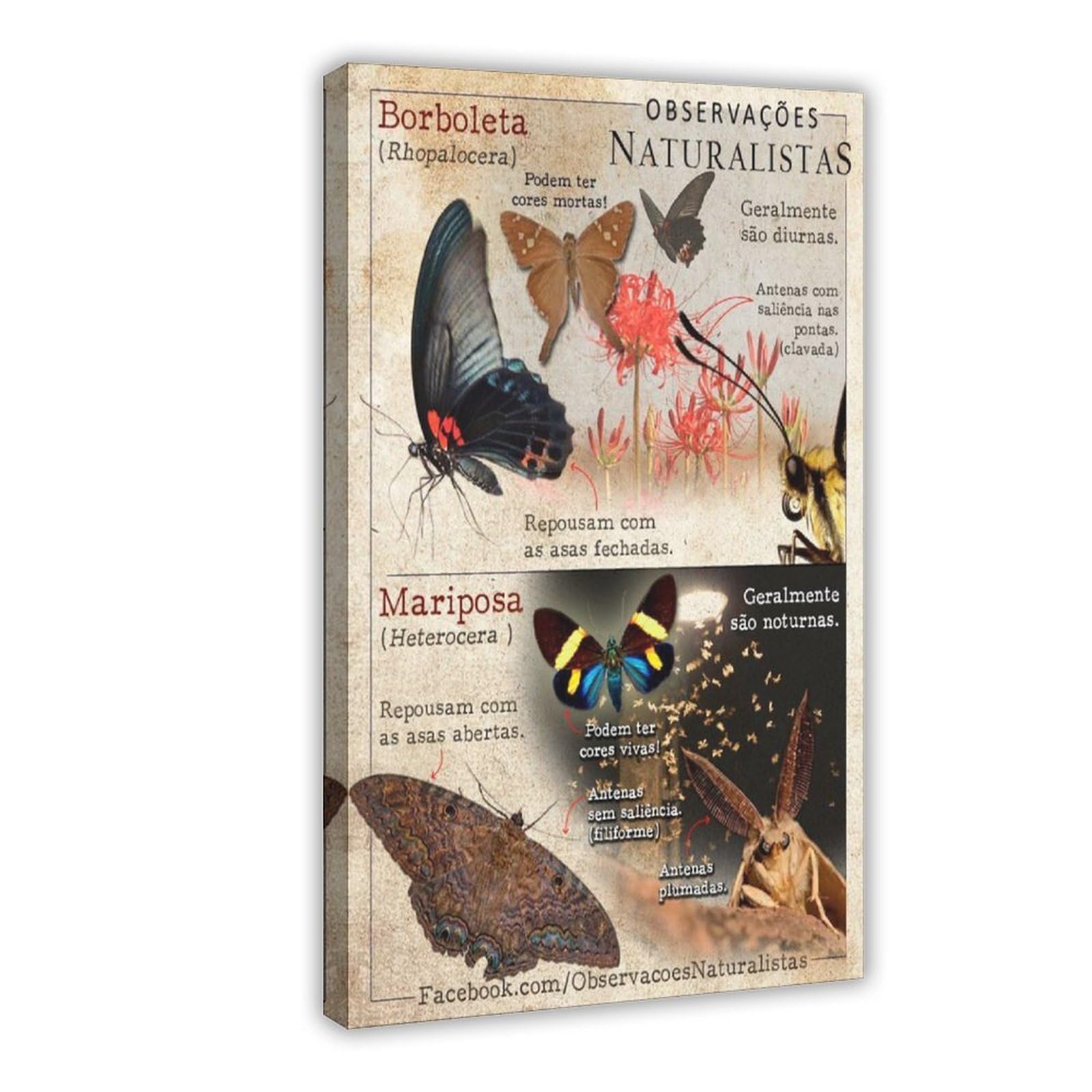 Bareronor Butterfly Canvas Poster for Dorm Room Decor Gift