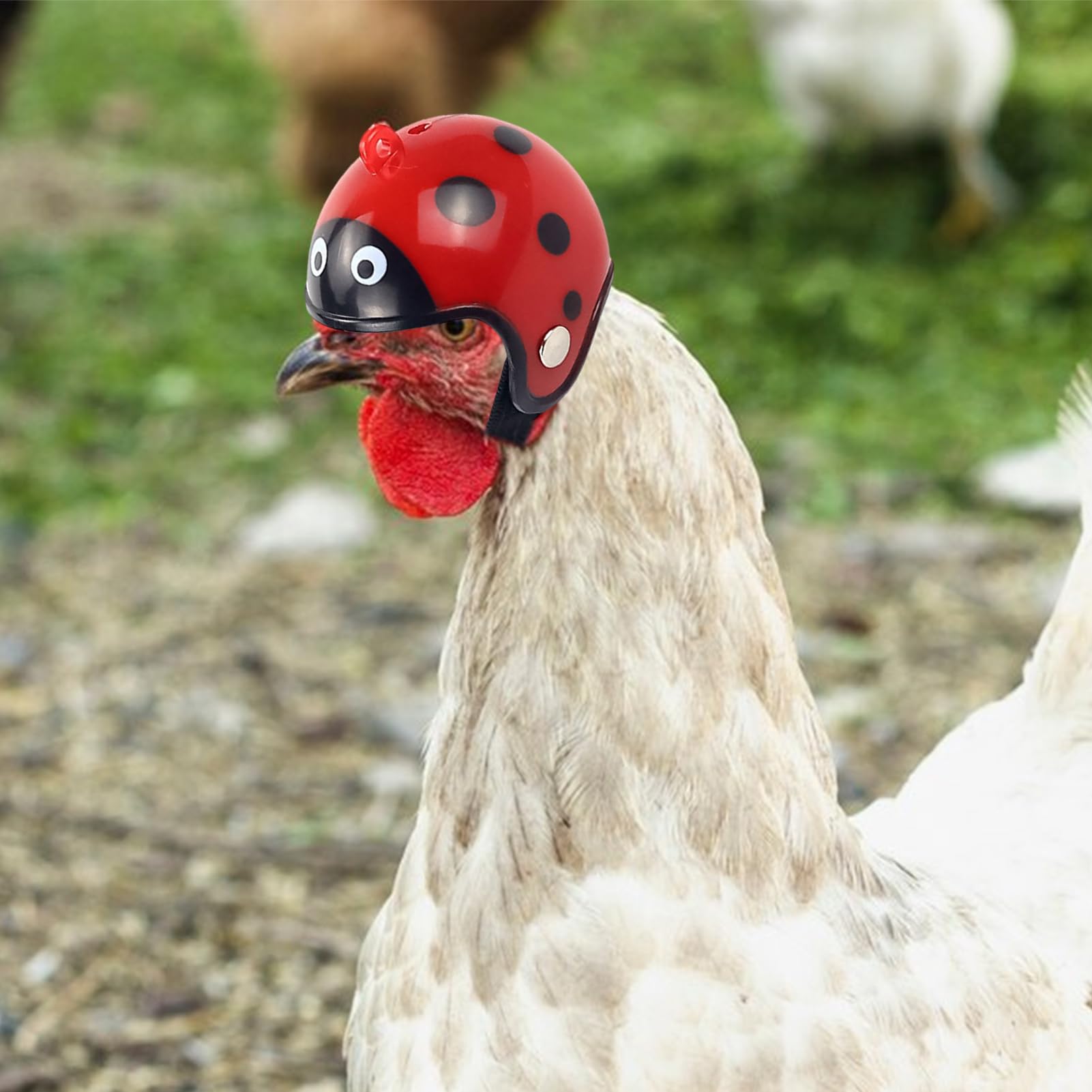 Cappello di pollo per galline - Funny Chicken Hard Hat con cinturino, casco per copricapo | Coppia di sicurezza della gallina leggera per il parrocchetto per pappagalli di uccelli, tappo per costumi p