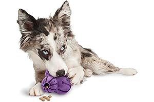 Busy Buddy Twist 'n Treat Treat Dispenser Dog Toy