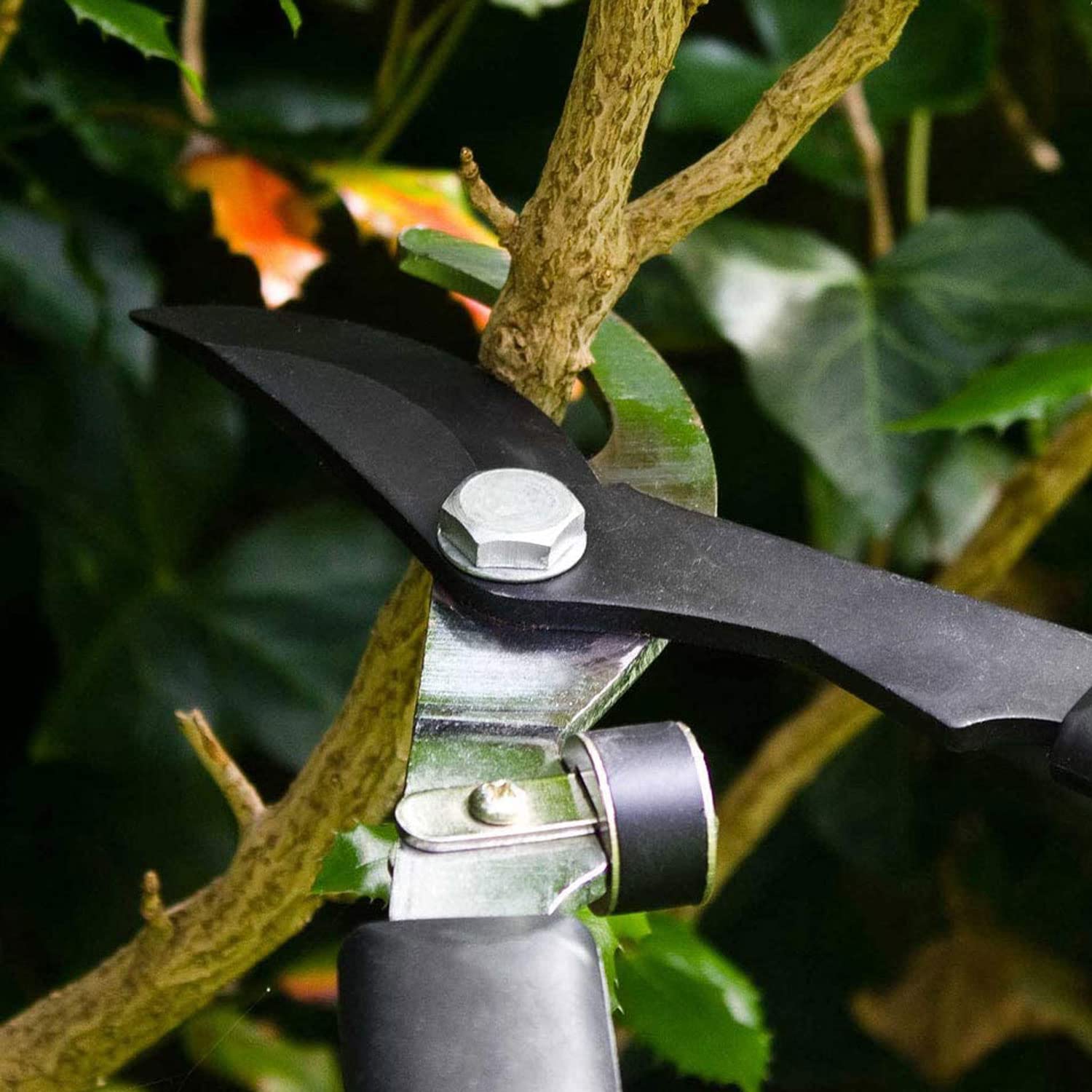 Tijeras de podar telescópicas de jardín con hoja de acero inoxidable forjado y mangos telescópicos de aluminio (Tijeras de podar)