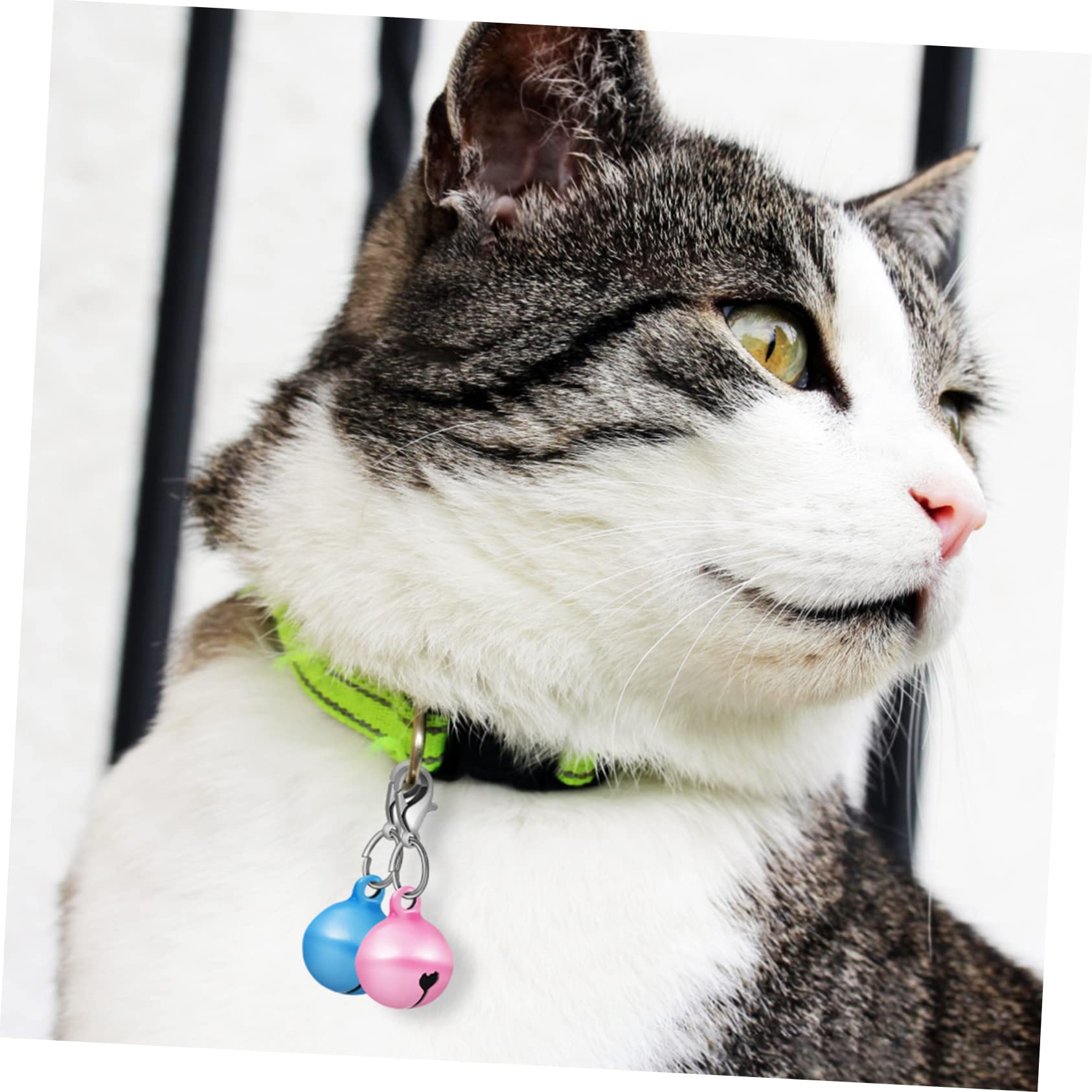 BESPORTBLE La Campana Collare Per Cani Jingle Bell Accessori Per Animali Domestici Pets Campane Di Metallo