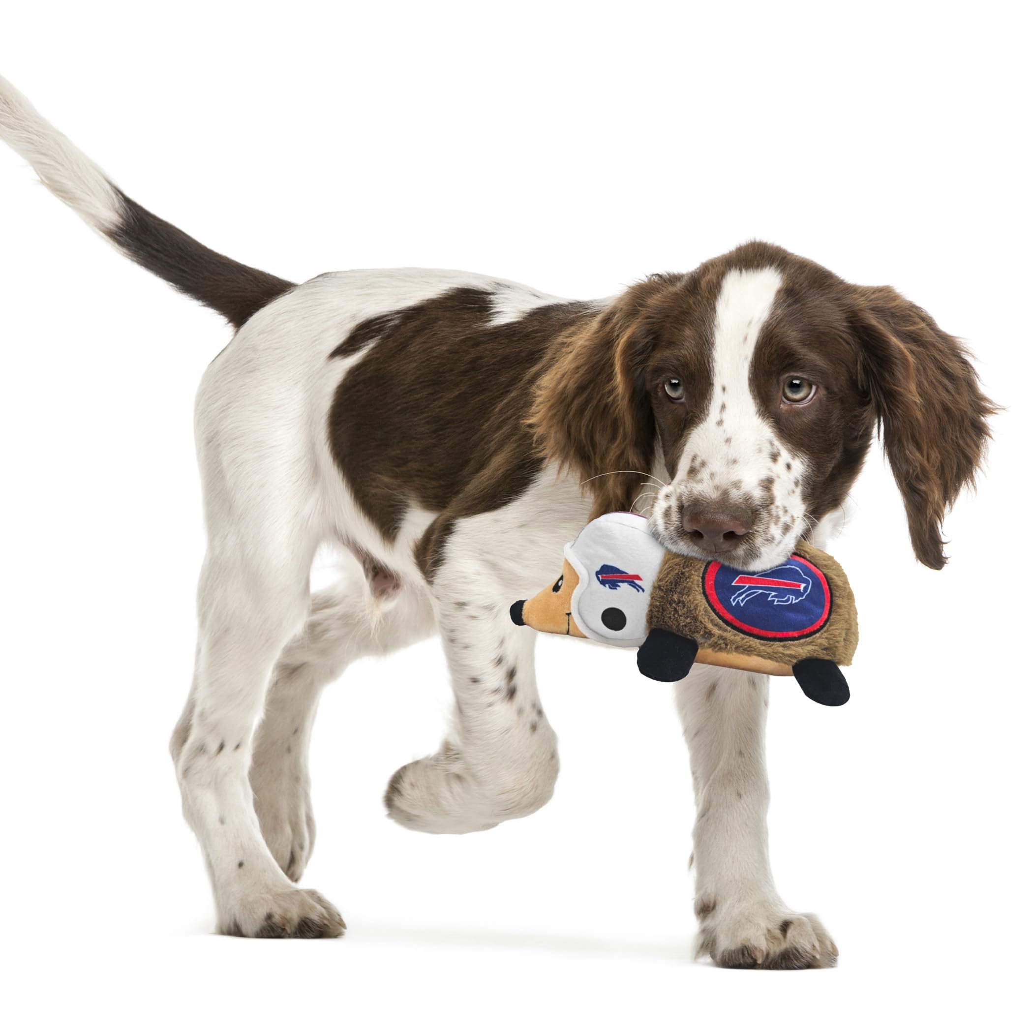 NFL Buffalo Bills Plüsch-Igelspielzeug für Hunde & Katzen, Cooles weiches Haustierspielzeug für Spaß und interaktives Spielen, Hunde-Kauspielzeug mit Quietscher, lizenziertes Hot Pet Spielzeug