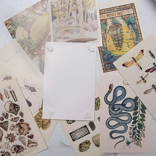 Miniatura 3 de LA MAISON COZY Póster adhesivo adhesivo de montaje reutilizable masilla no destructiva a la pared para colgar imágenes y pósteres