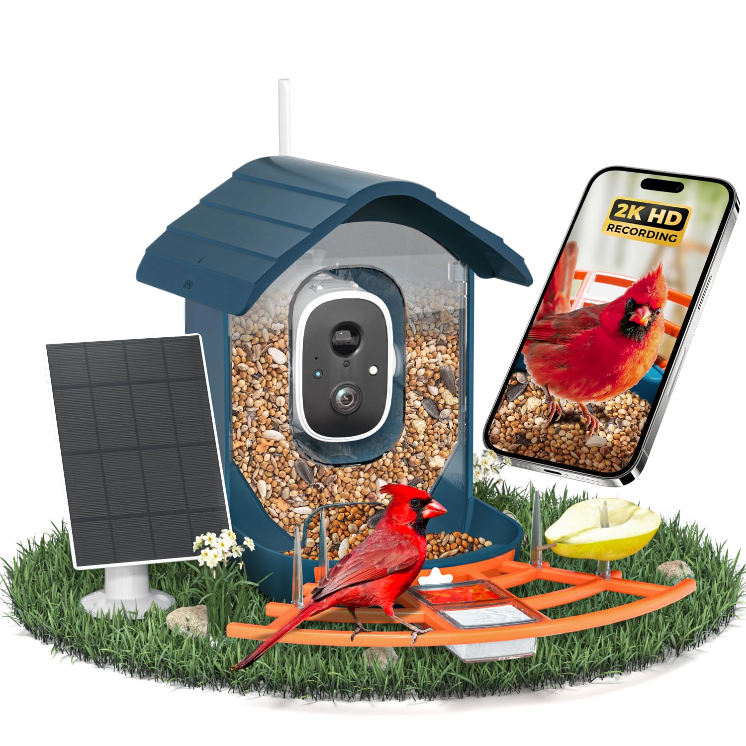 DOCOON Smart Bird Feeder with Camera