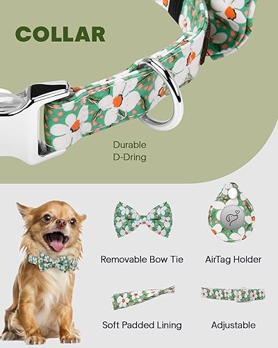 Miniatura 2 de MIDOG AirTag - Collar de perro de moda para perros pequeños, medianos y grandes, con funda de soporte para AirTag, collar ajustable de nailon suave