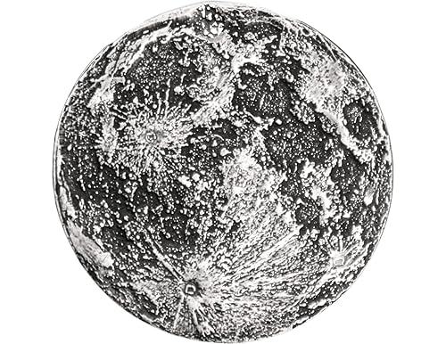 Best Moon Coins: A Detailed Overview of the Top Picks