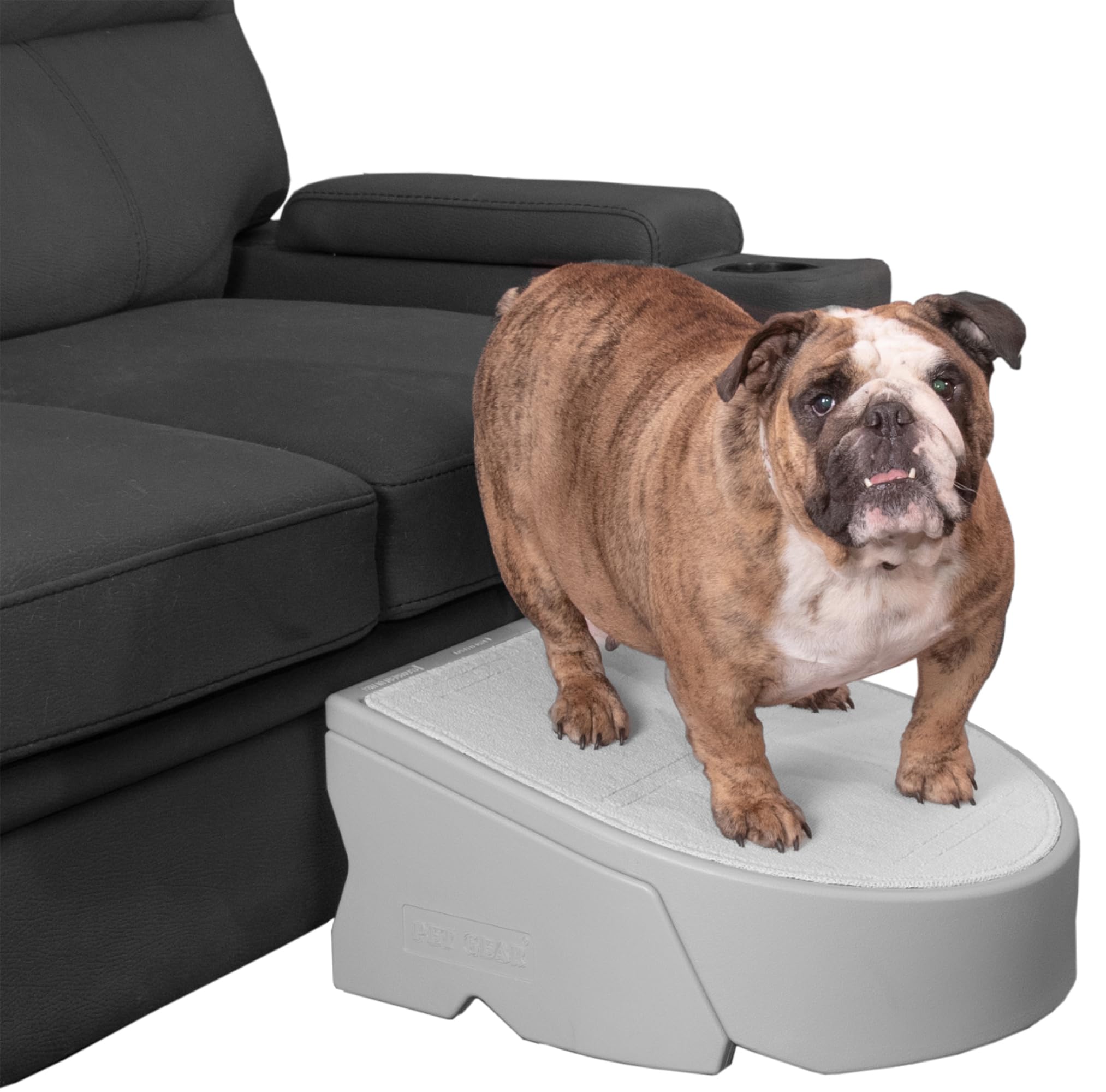 Amazon.com : Pet Gear Stramp Stair and Ramp Combination for Dogs