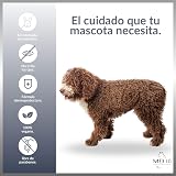Ver la foto 3