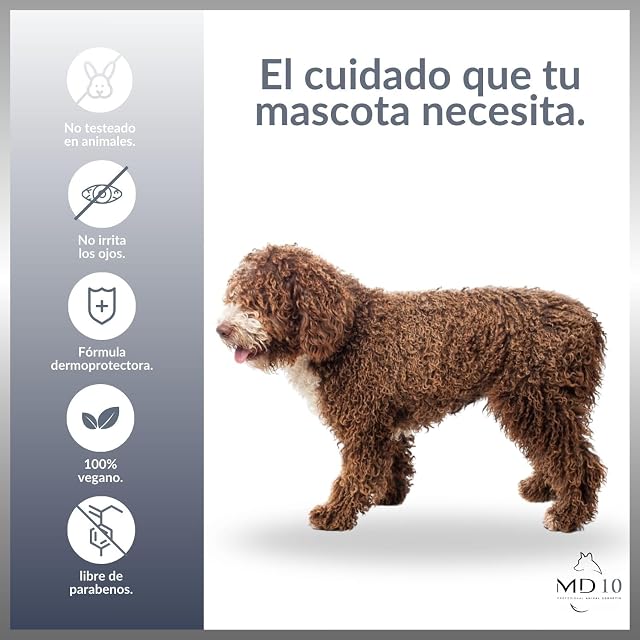 Foto 3 de 5 de Champú para Perro de Agua Español Pelo Marrón de Diferentes Tonalidades