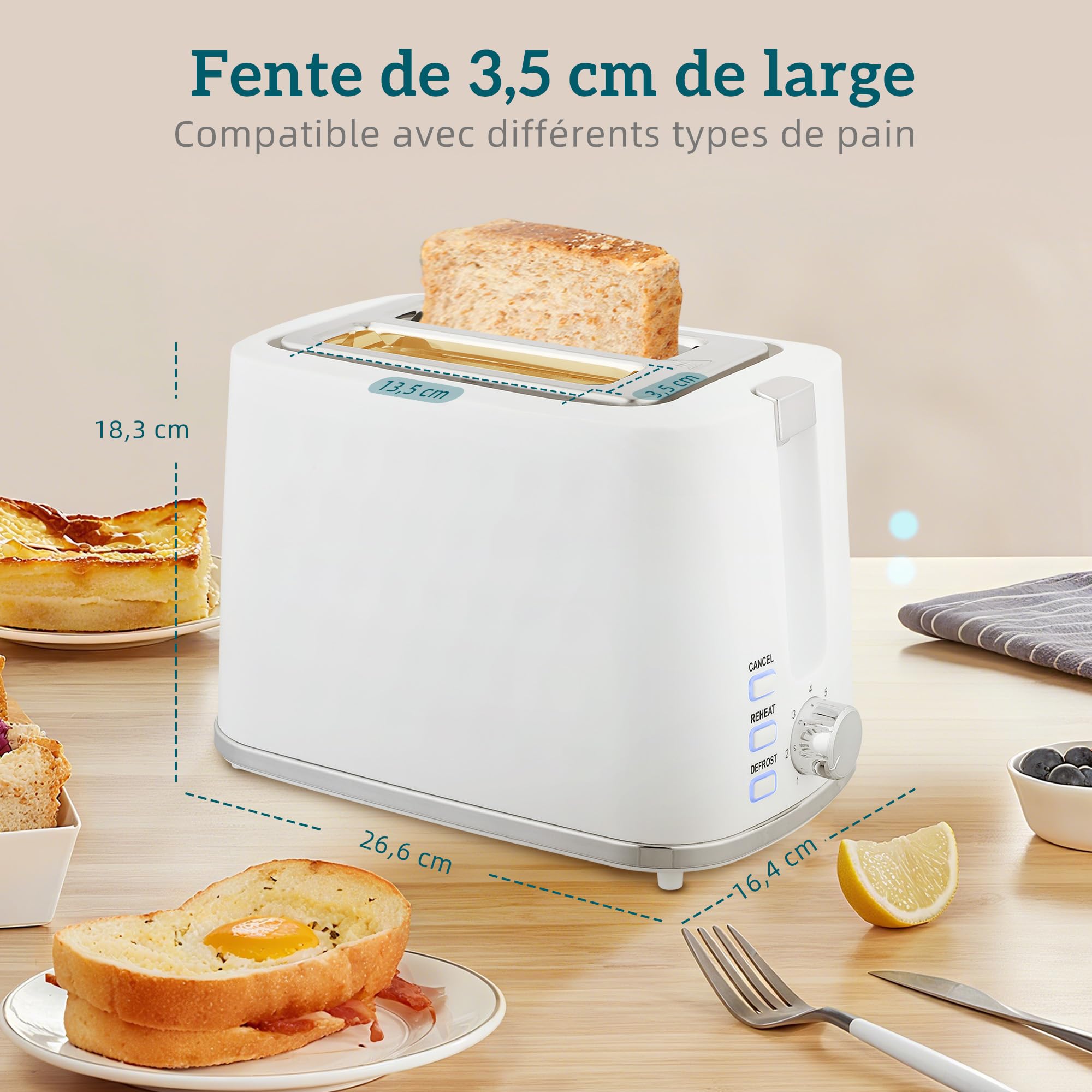 HOMCOM Bouilloire et Grille-Pain Acier 2200 W 1,7 L Thermostat Otter Filtre anticalcaire 2 tranches 7 Niveaux brunissage Blanc