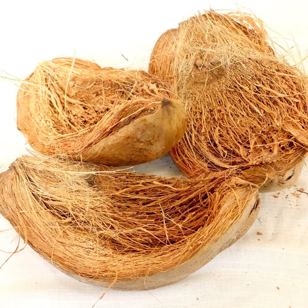 Zone Marketing Coconut Husk For Multipurpose,Orchids And Hydroponics 1kg Best result for plants-image-8