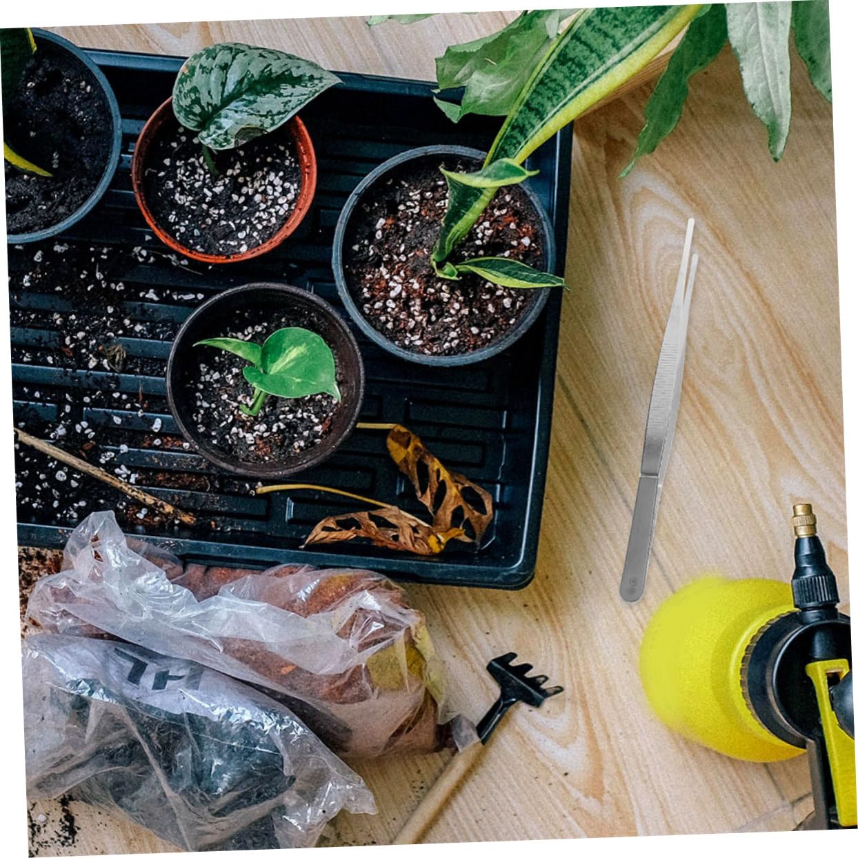 Pinzetta da Giardinaggio per Bonsai 10 Pezzi in Acciaio Inox