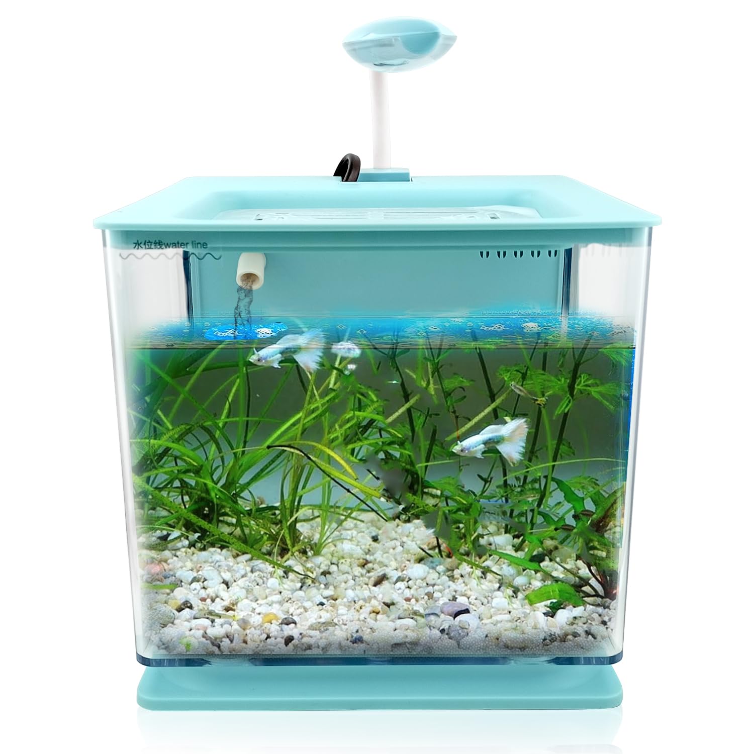 Jainsons Pet Products Fish Aquarium Small Tank-2.5 LTR Rust Resistant Acrylic Small Fish Tank for Home Office Desktop Aquarium Tank with Internal Back Filter and USB LED Light (Colour May Vary) (B0CF23TNGZ) Amazon Price History, Amazon Price Tracker