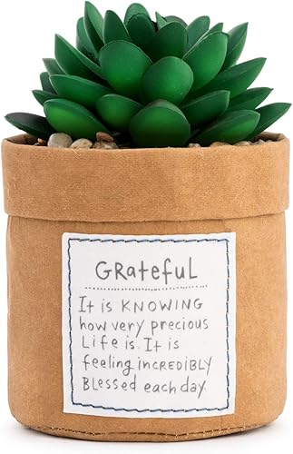 DEMDACO Arreglo floral artificial de mesa de acrílico verde Kindness Grateful de 3 x 5 pulgadas
