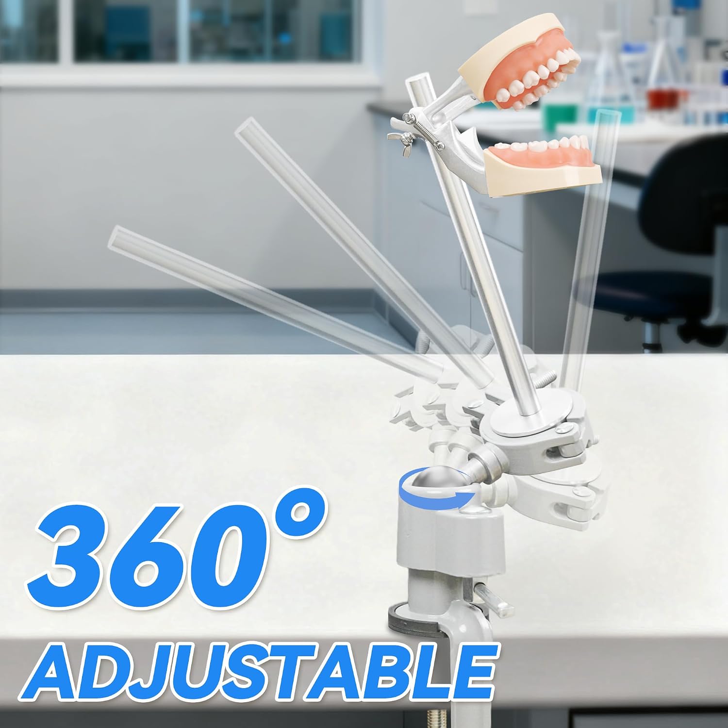 Dental Teeth Model Typodont Mounting Pole Set (Teeth Model Not Included), Desktop Fixed Support 360° Adjustable Rotating Stand for Dental Training Education Lecture