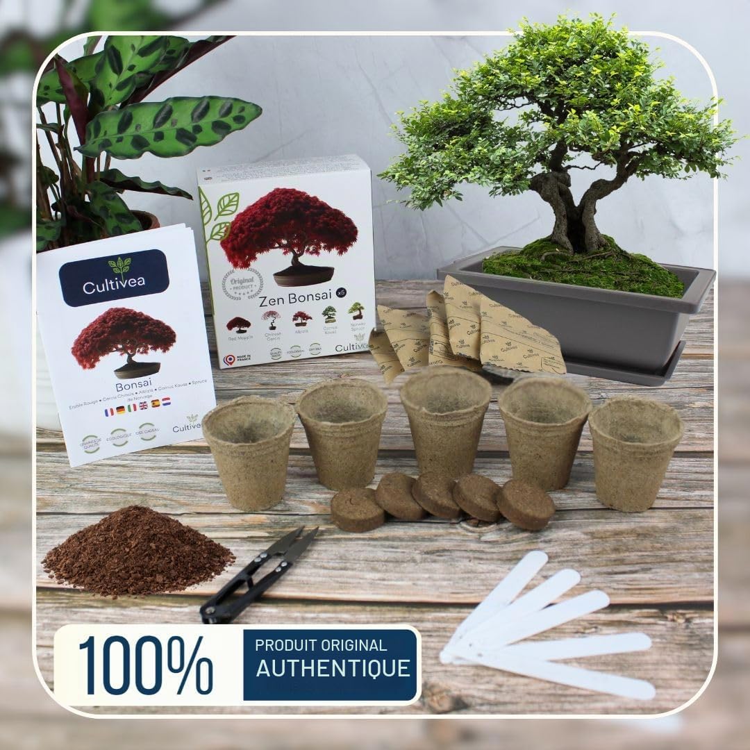 CULTIVEA® Kit Prêt à Pousser Bonsaï – Graines Françaises 100% Écologiques - Jardinez et décorez - Idée Cadeau - Made in France (Coffret duo bonsaï, 1)