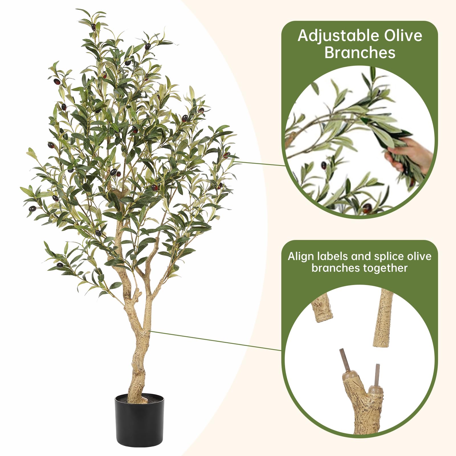 thuja aurea nana plant Thuja orientalis Aurea Nana  The Plant Broker