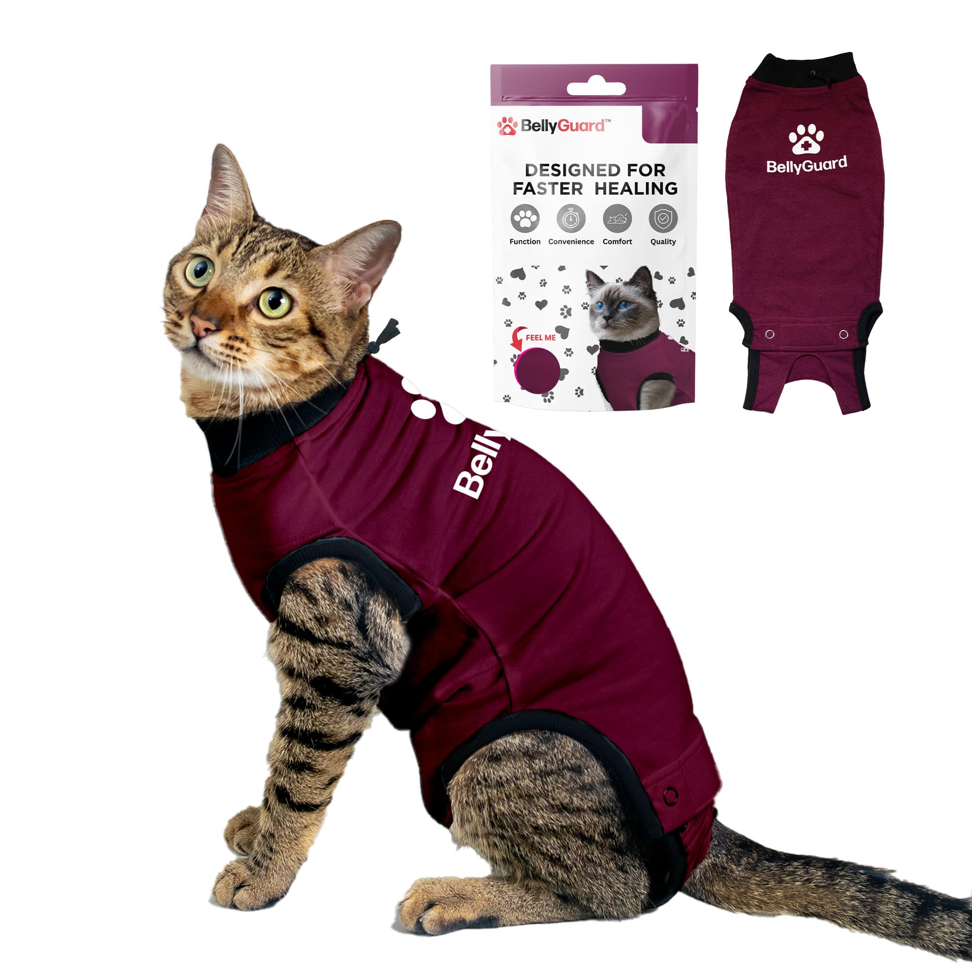 Bellyguard Cat Recovery Suit for Female and Male, Cat Surgery Suit Alternative, Onesie for After Spay Care, Post-Surgery Protective Body Cover for