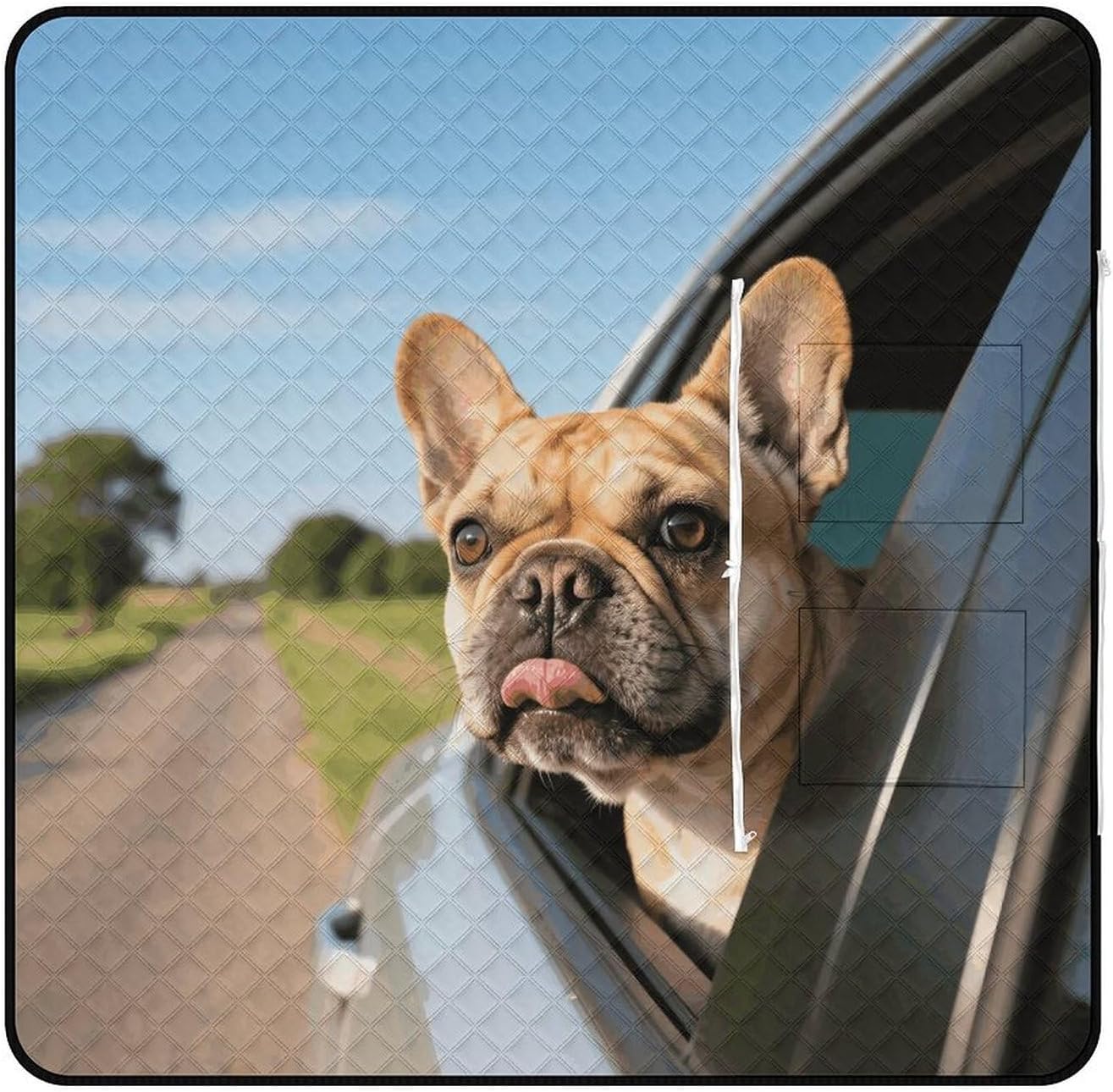 Puppy Dog Boston Terrier Picnic Blanket 150x150cm, Foldable 2-in-1 Picnic Mat and Tote Bag Portable Waterproof Beach Mat Sandproof Outdoor Blanket for Park, Hiking, Beach, Camping, Travel