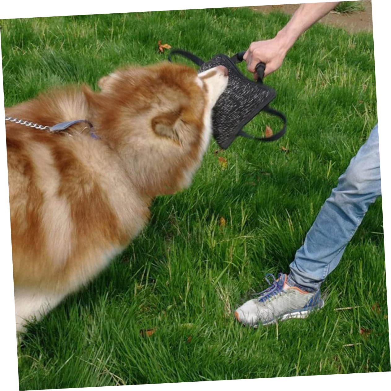 TOYANDONA Masticable para Perros con Asas Resistentes Almohadilla de Acolchada para Adiestramiento para Cachorros y Perros Entrenamiento Color Negro