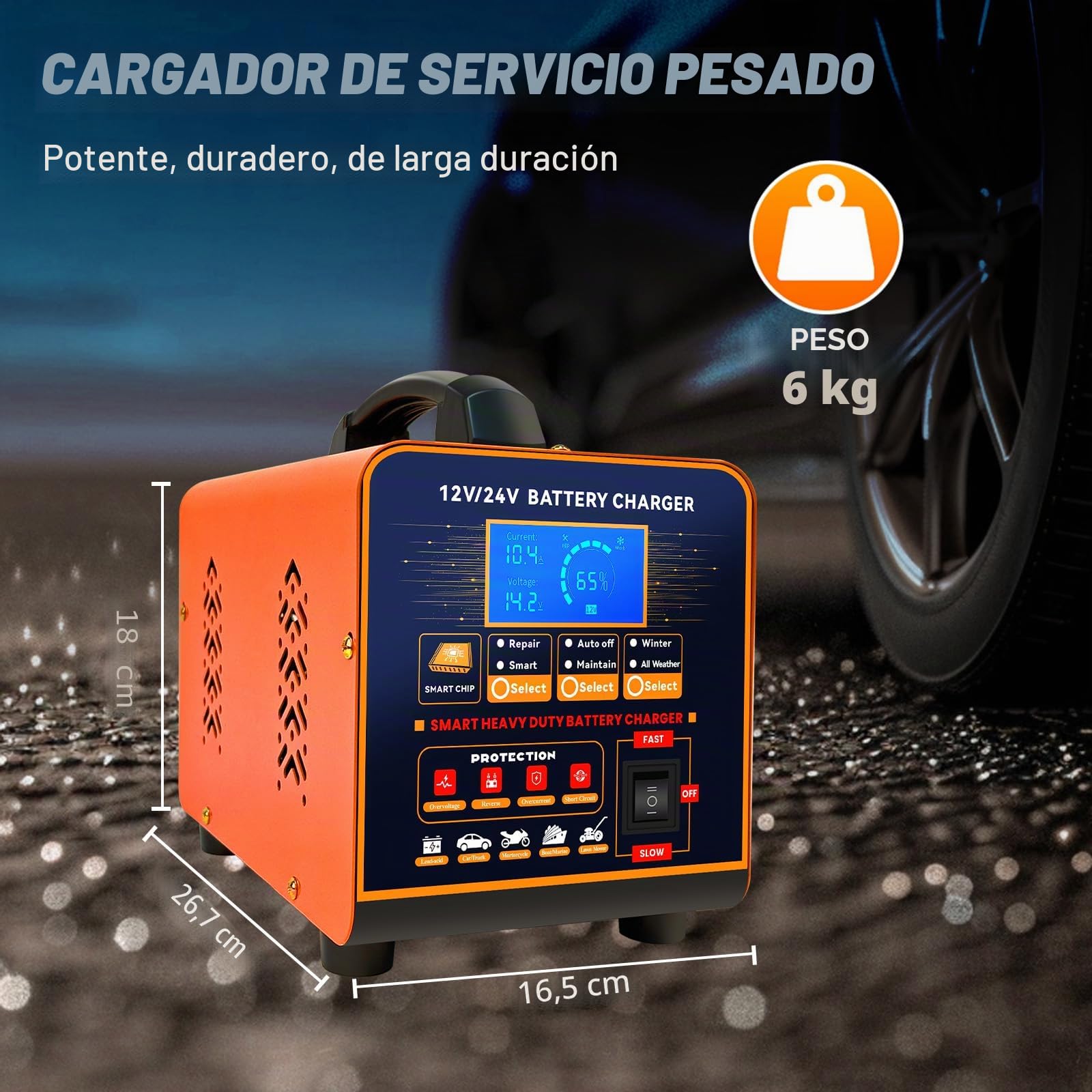 20A Cargador de Baterías Metal 12V/24V Profesional Mantenedor Automático, Cargador Inteligente con Apagado Automático, Reparación, Modo Invierno para Coche Camión Moto (Plomo, AGM, Gel, etc)