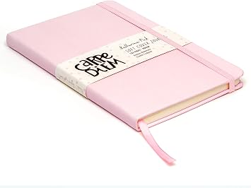Pukka Pad, Carpe Diem Soft Cover Journal - Notebook with Ribbon Page Marker and Elasticized Closure - 192 Pages 80GSM Paper - 8.38 x 5.25in - Ballerina Pink