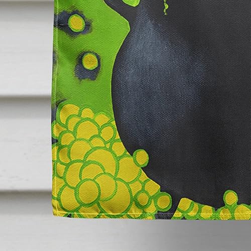 Miniatura 4 de Caroline's Treasures AMB1434CHF Brewing Up Trouble Halloween Dachshund House Flag - Bandera grande para porche, manga para porche, decoración