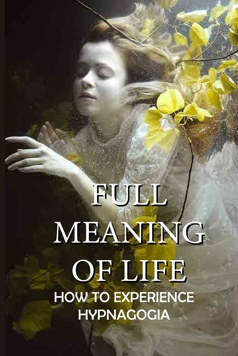 Full Meaning Of Life: How To Experience Hypnagogia: Book On Hypnagogia