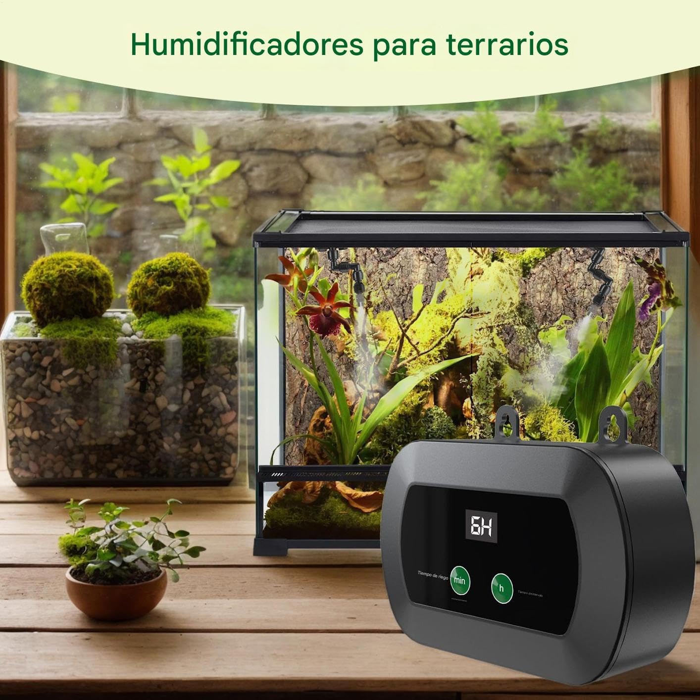 Umidificatore Per Terrario Rettili Nebulizzatore Automatico Portatile | Timer Automatico per Nebulizzatore Rettili per Gabbia, Serra, Piante, Camaleonte, Lucertola, Serpente, Rana, Anfibi