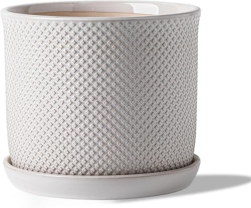 Maceta de cerámica de 8 pulgadas: maceta de cerámica con orificio de drenaje y platillo para plantas de interior y exterior, maceta con bandeja